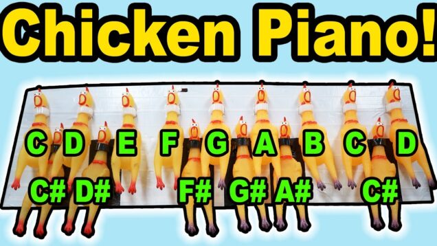 I-Built-a-PIANO-out-of-CHICKENS