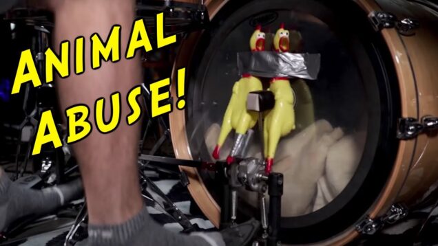 This-Drummer-Does-the-Unthinkable…-Chicken-Adventure-2