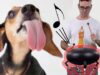 LICKS-on-a-Steel-TONGUE-Drum-