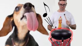 LICKS-on-a-Steel-TONGUE-Drum-