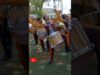 Pacific-Crest-with-unibrows-dci2024-dci-drumline-drumcorps
